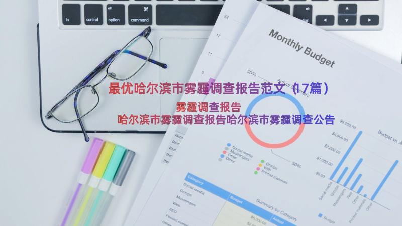 最优哈尔滨市雾霾调查报告范文（17篇）