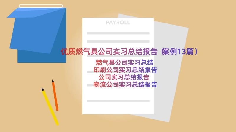 优质燃气具公司实习总结报告（案例13篇）