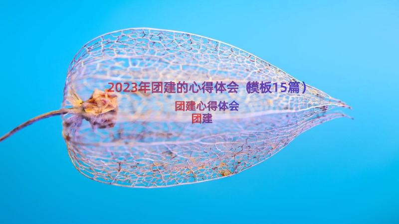 2023年团建的心得体会（模板15篇）