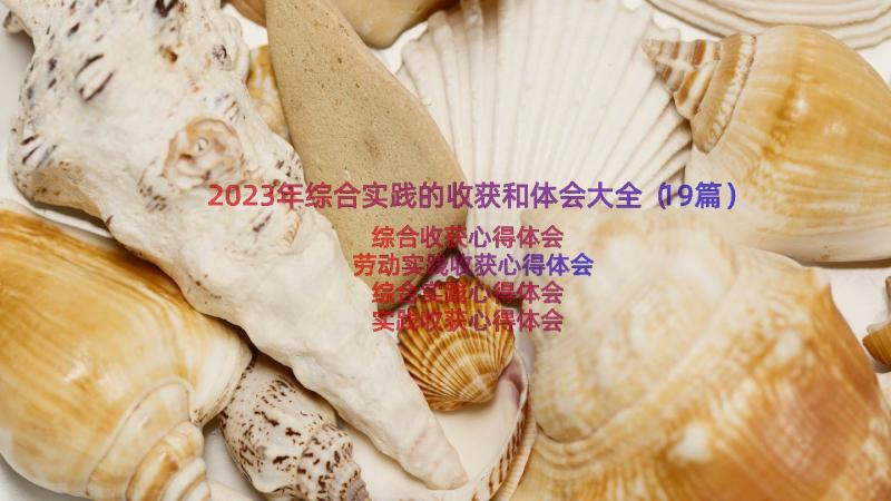 2023年综合实践的收获和体会大全（19篇）