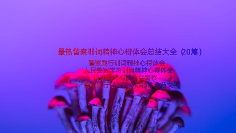 最热警察训词精神心得体会总结大全（20篇）