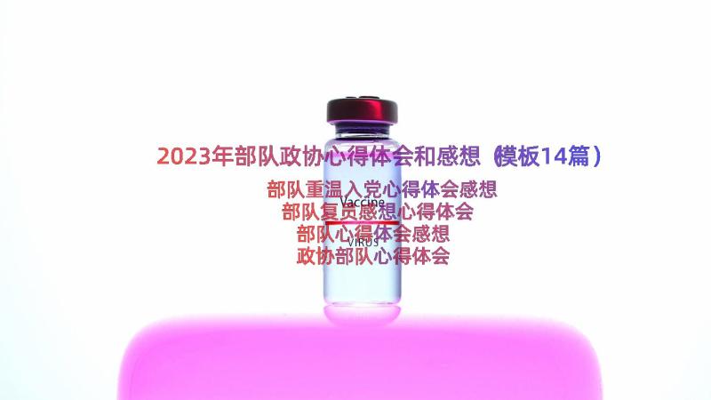 2023年部队政协心得体会和感想（模板14篇）