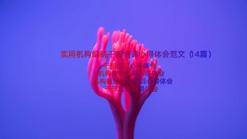 实用机构编制干部培训心得体会范文（14篇）