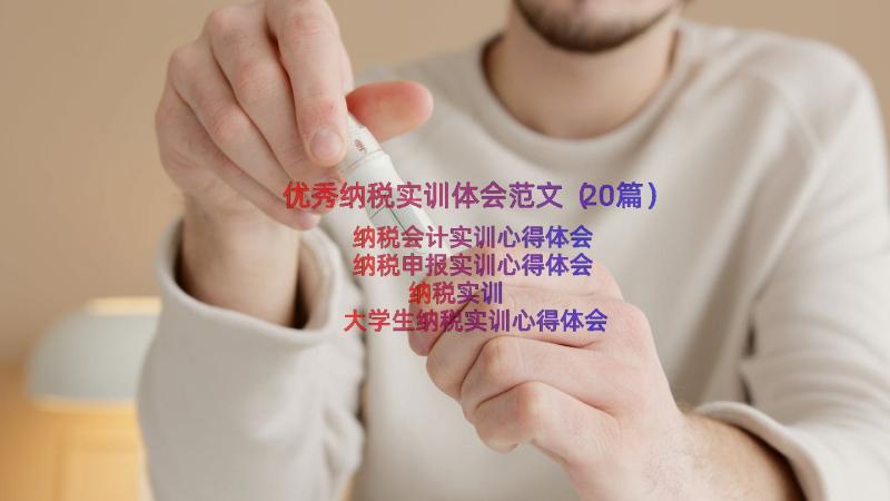 优秀纳税实训体会范文（20篇）