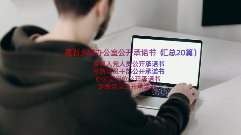 最新乡镇办公室公开承诺书（汇总20篇）