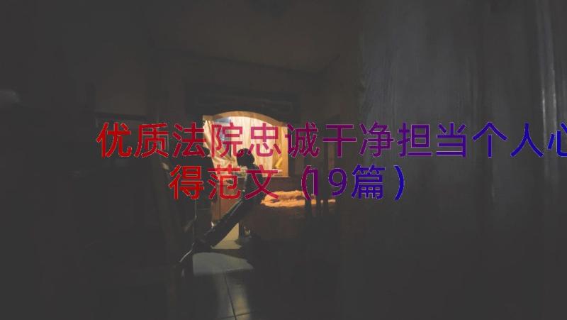 优质法院忠诚干净担当个人心得范文（19篇）