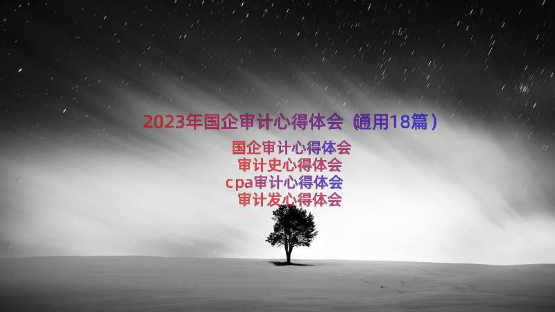 2023年国企审计心得体会（通用18篇）