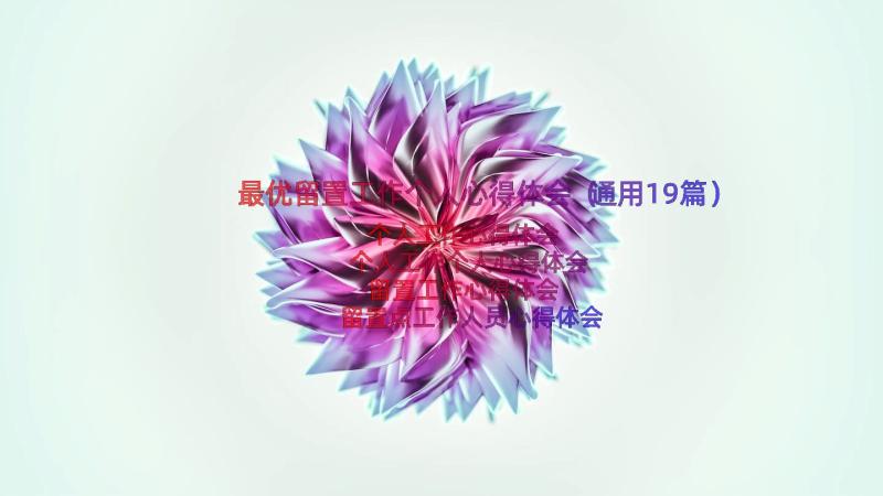 最优留置工作个人心得体会（通用19篇）