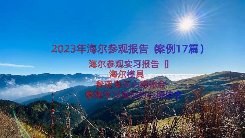 2023年海尔参观报告（案例17篇）