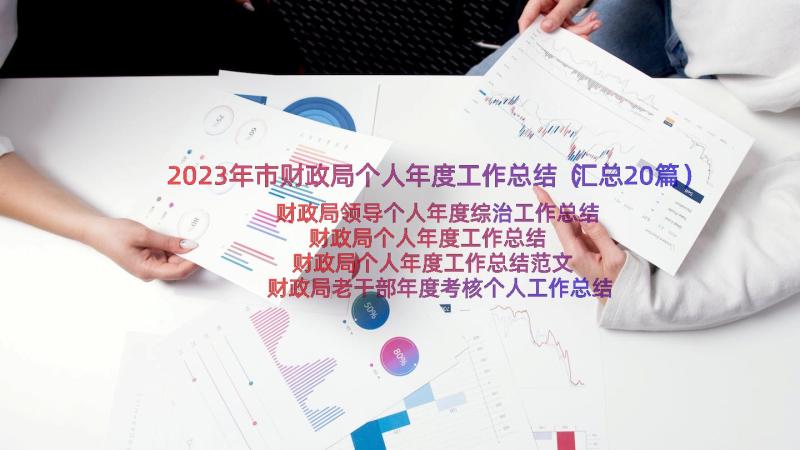 2023年市财政局个人年度工作总结（汇总20篇）