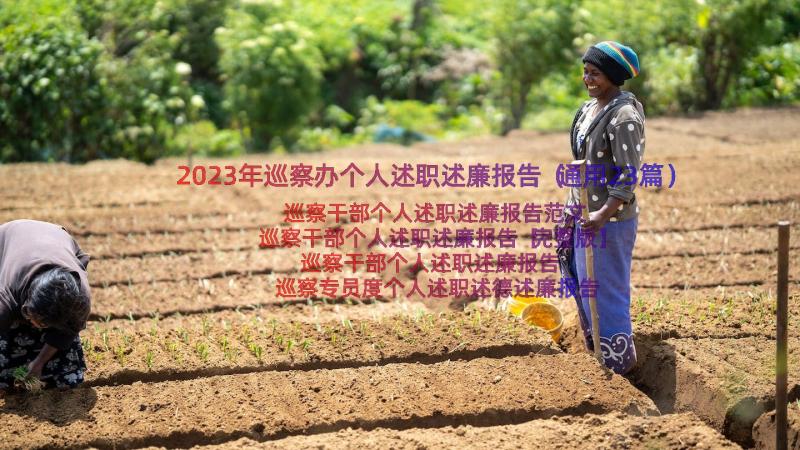 2023年巡察办个人述职述廉报告（通用23篇）