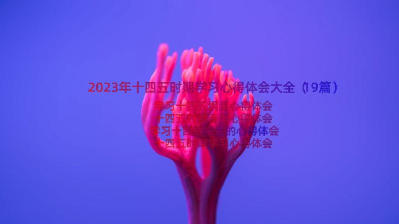 2023年十四五时期学习心得体会大全（19篇）