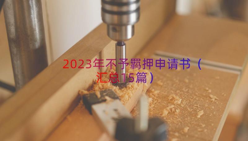 2023年不予羁押申请书（汇总15篇）