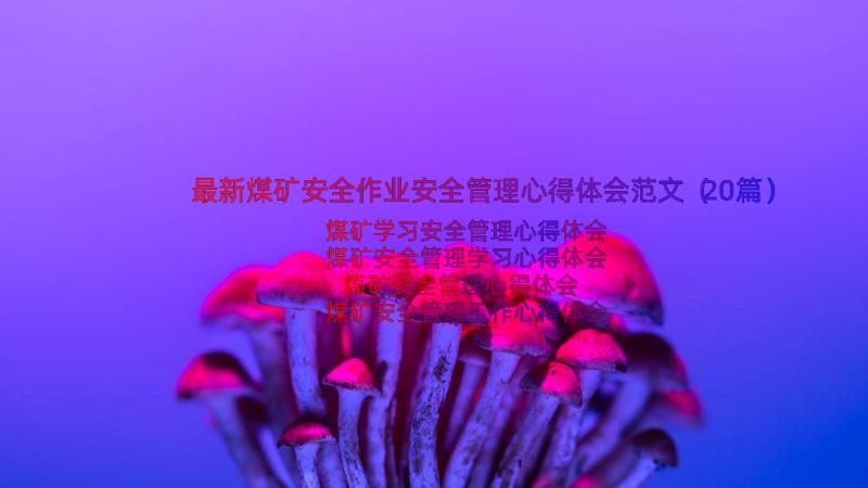 最新煤矿安全作业安全管理心得体会范文（20篇）