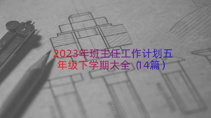 2023年班主任工作计划五年级下学期大全（14篇）