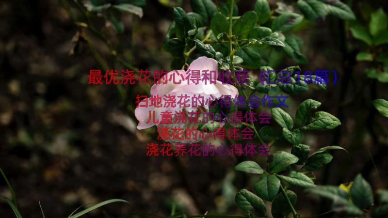 最优浇花的心得和收获（汇总18篇）