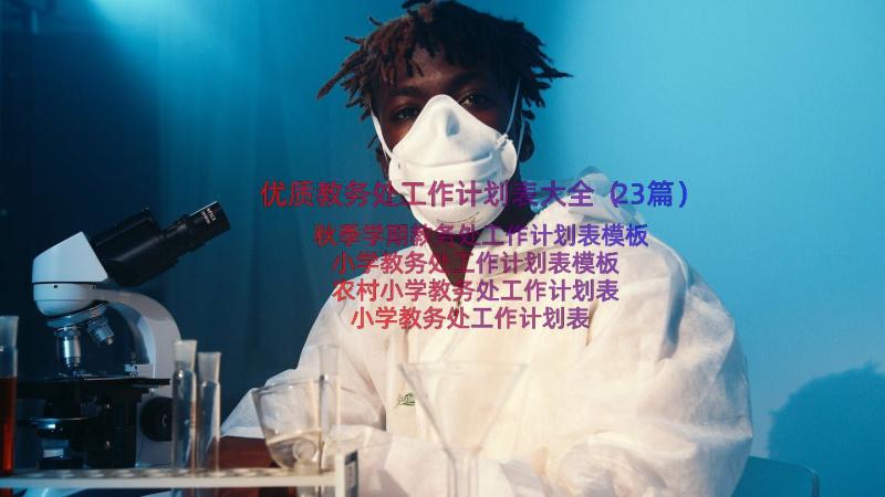 优质教务处工作计划表大全（23篇）