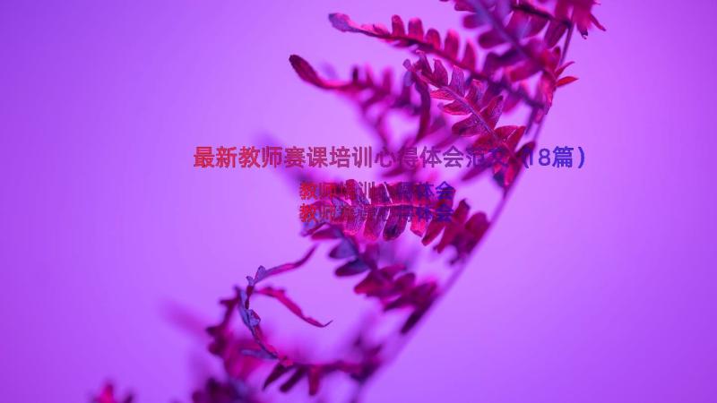 最新教师赛课培训心得体会范文（18篇）