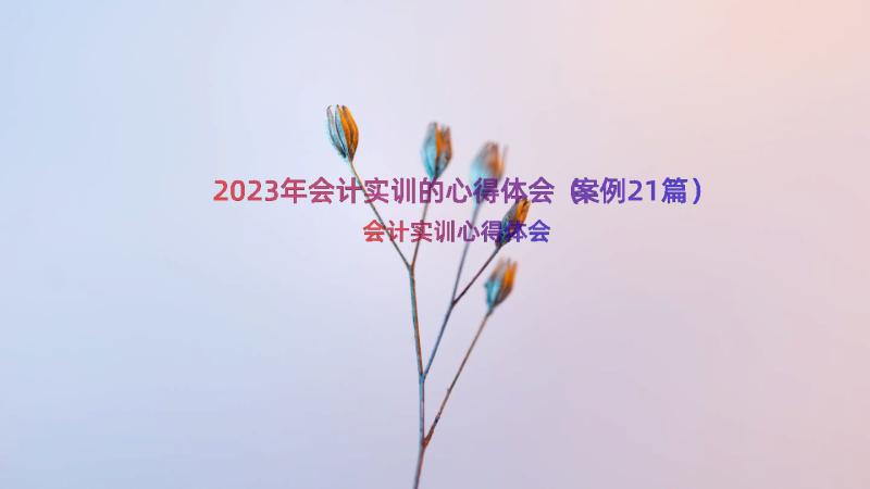 2023年会计实训的心得体会（案例21篇）