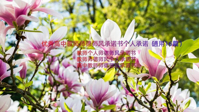 优秀高中教师师德师风承诺书个人承诺（通用16篇）