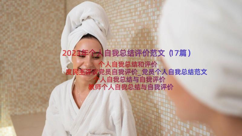 2023年个人自我总结评价范文（17篇）