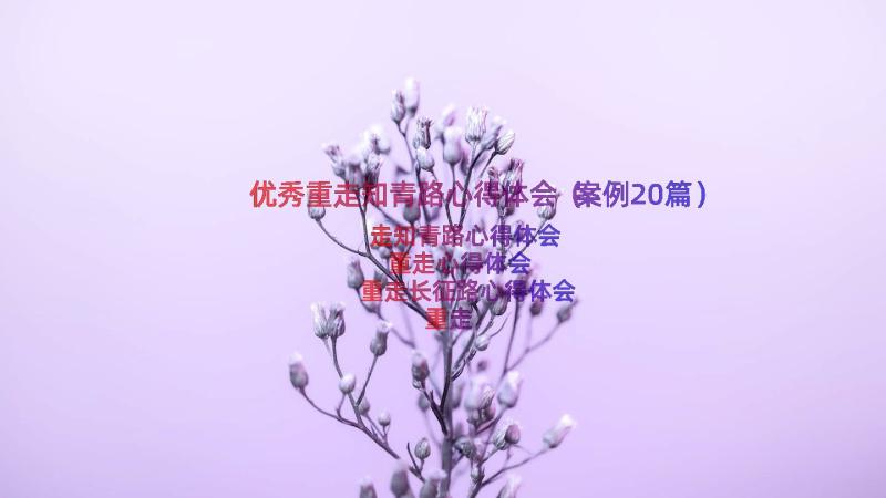 优秀重走知青路心得体会（案例20篇）