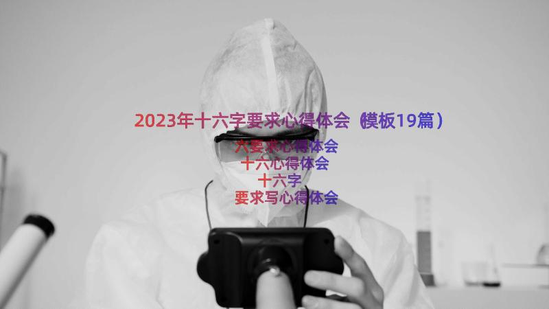 2023年十六字要求心得体会（模板19篇）