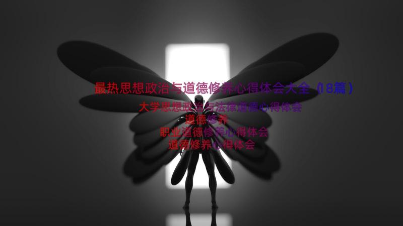 最热思想政治与道德修养心得体会大全（18篇）