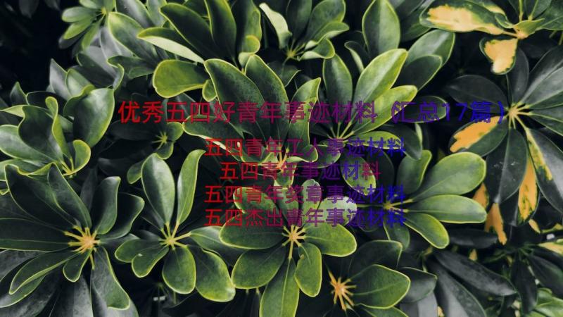 优秀五四好青年事迹材料（汇总17篇）