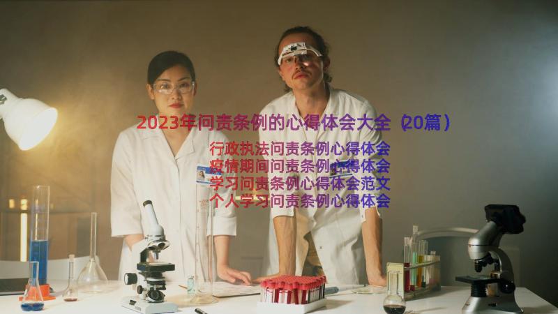 2023年问责条例的心得体会大全（20篇）