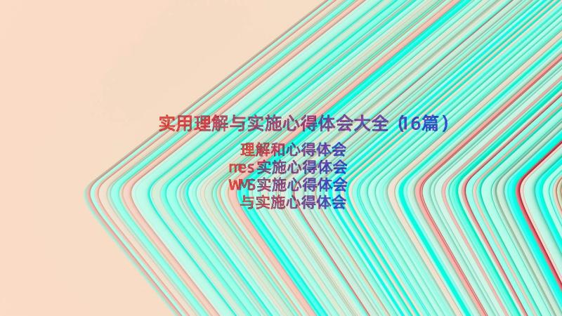 实用理解与实施心得体会大全（16篇）