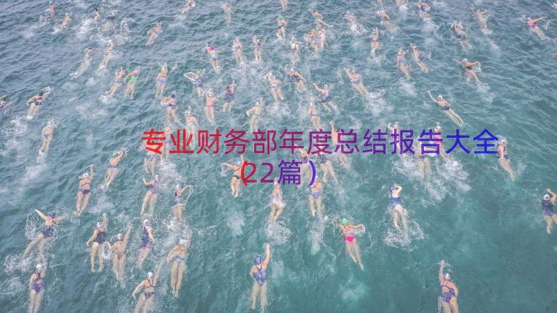 专业财务部年度总结报告大全（22篇）