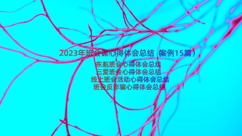 2023年班会课心得体会总结（案例15篇）