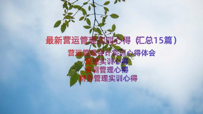 最新营运管理实训心得（汇总15篇）