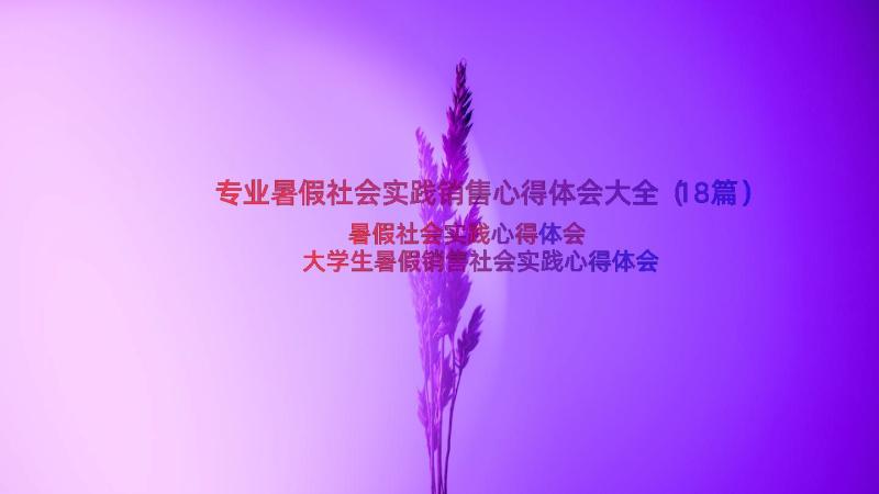 专业暑假社会实践销售心得体会大全（18篇）