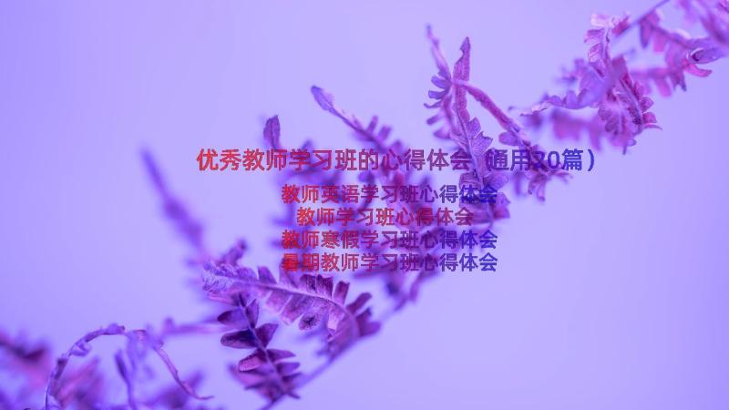 优秀教师学习班的心得体会（通用20篇）