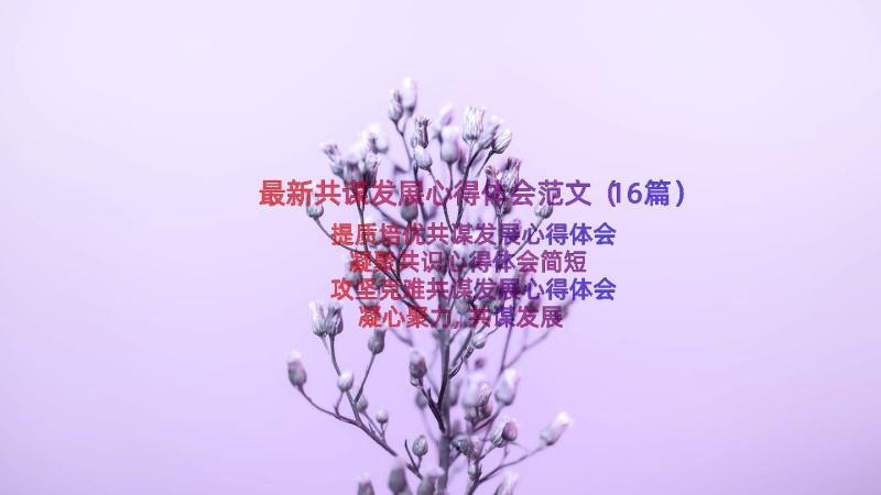 最新共谋发展心得体会范文（16篇）