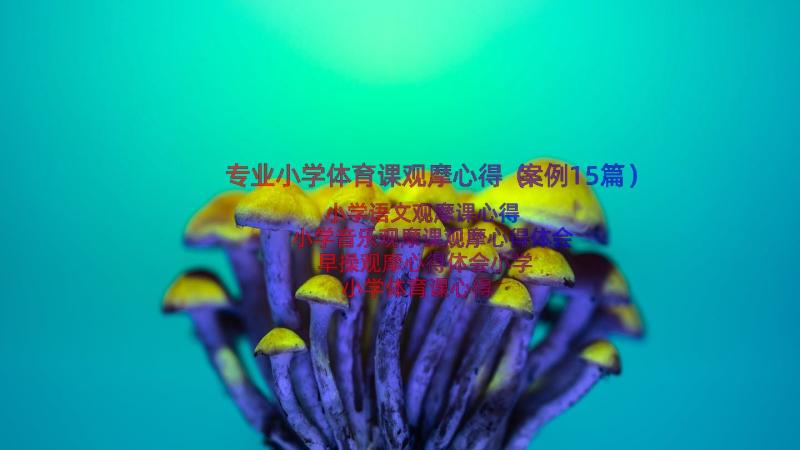 专业小学体育课观摩心得（案例15篇）