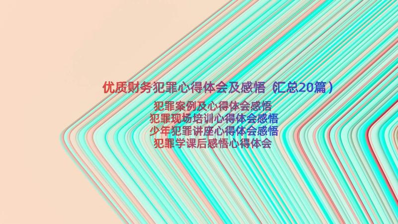 优质财务犯罪心得体会及感悟（汇总20篇）