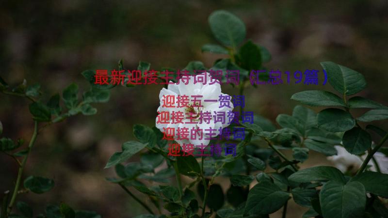 最新迎接主持词贺词（汇总19篇）