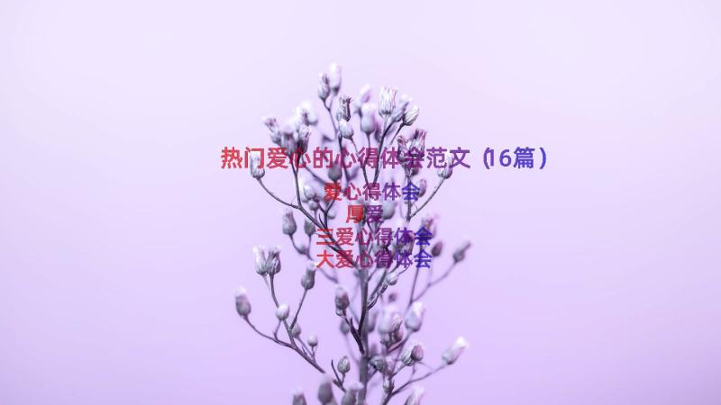 热门爱心的心得体会范文（16篇）