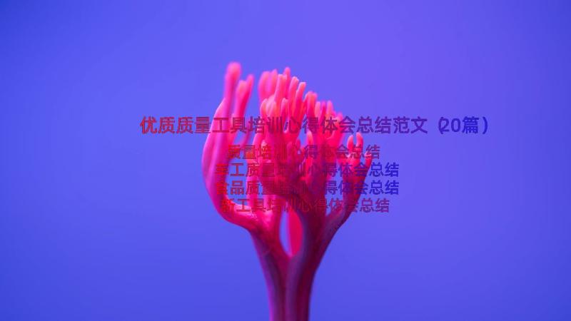 优质质量工具培训心得体会总结范文（20篇）