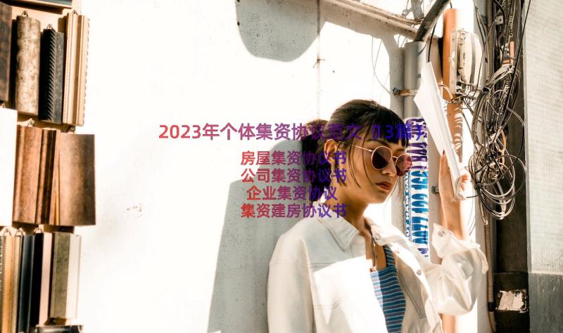 2023年个体集资协议范文（13篇）