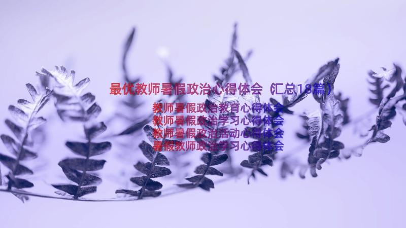 最优教师暑假政治心得体会（汇总18篇）