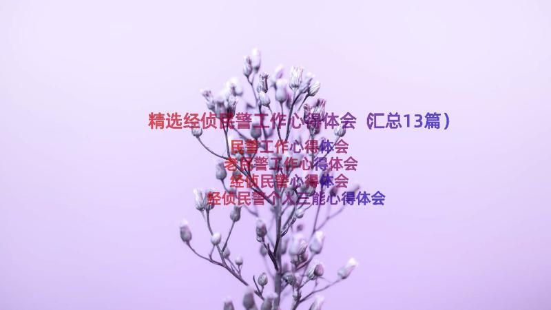 精选经侦民警工作心得体会（汇总13篇）