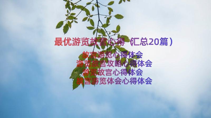 最优游览故宫心得（汇总20篇）