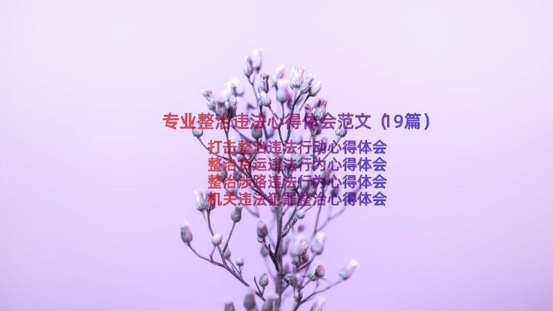 专业整治违法心得体会范文（19篇）