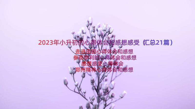 2023年小升初的心得体会和感想感受（汇总21篇）