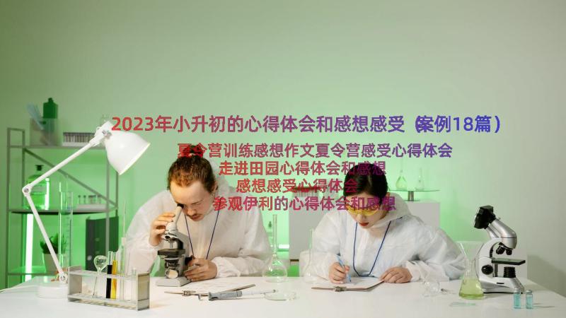 2023年小升初的心得体会和感想感受（案例18篇）