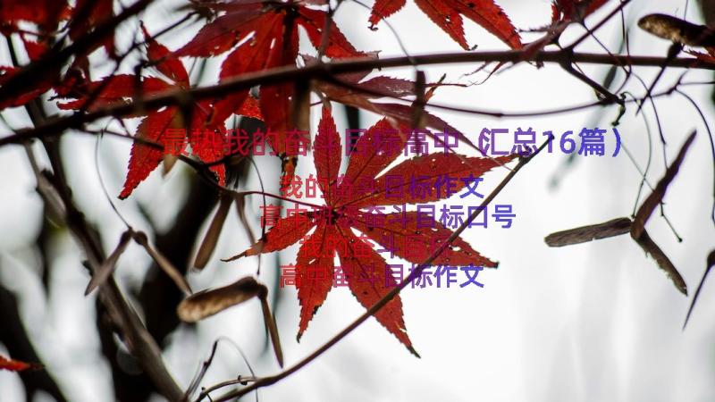 最热我的奋斗目标高中（汇总16篇）